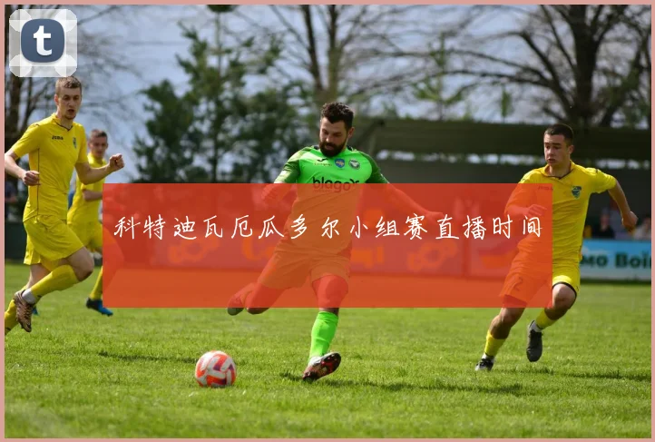 科特迪瓦厄瓜多尔小组赛直播时间