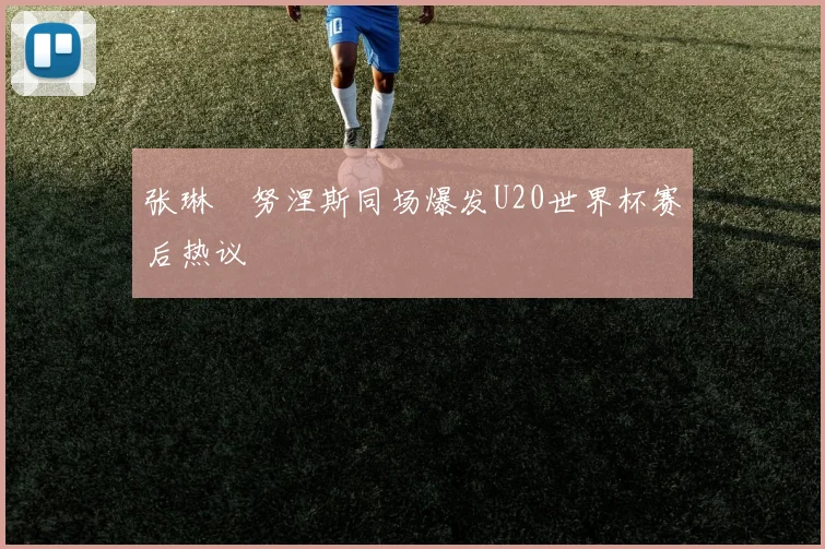 张琳芃努涅斯同场爆发U20世界杯赛后热议