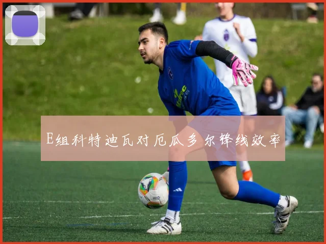 E组科特迪瓦对厄瓜多尔锋线效率