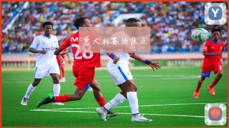 意大利赛场焦点
