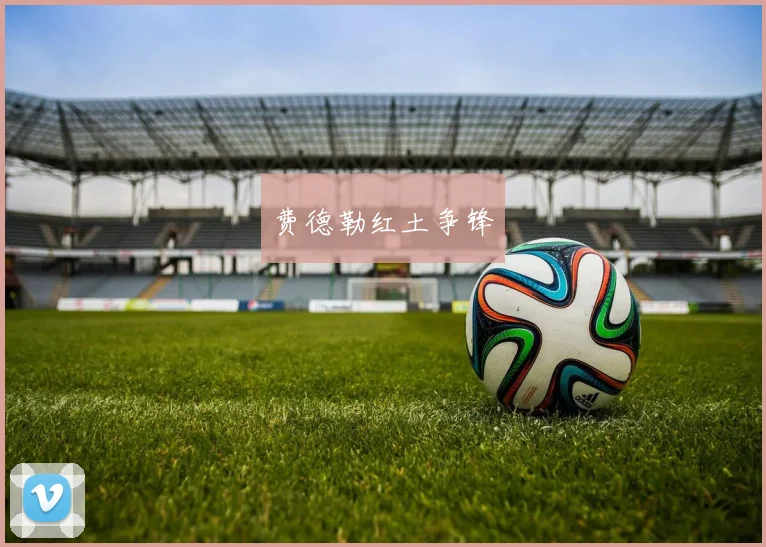 费德勒红土争锋