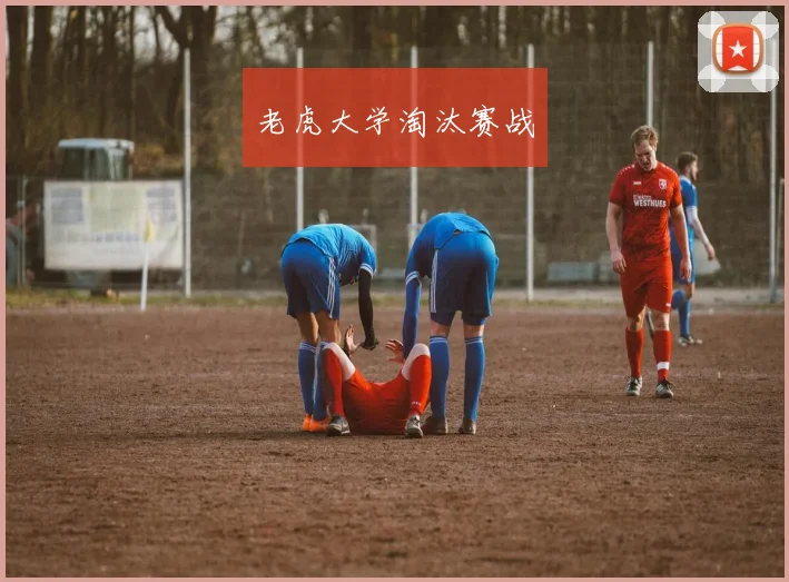 老虎大学淘汰赛战
