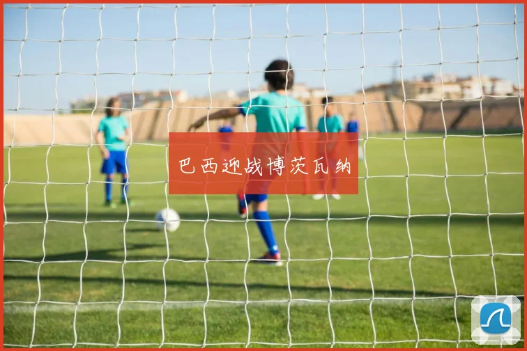 巴西迎战博茨瓦纳