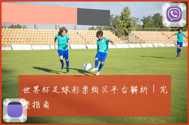 世界杯足球彩票购买平台解析｜完整指南