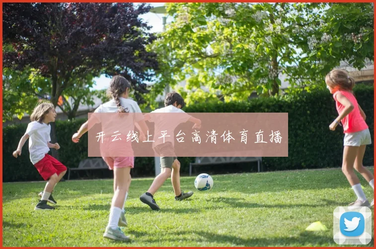 开云线上平台高清体育直播