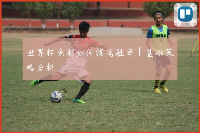 世界杯竞彩如何提高胜率｜基础策略分析