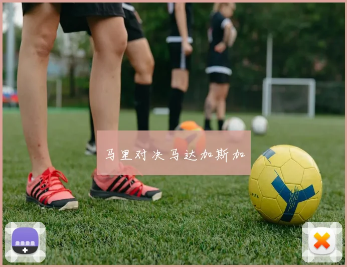 马里对决马达加斯加