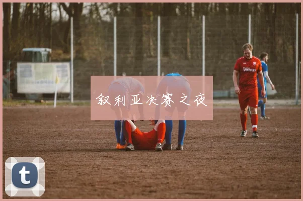 叙利亚决赛之夜