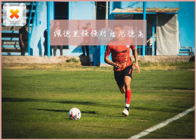 佩德里强强对话厄德高