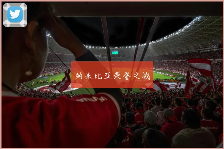 纳米比亚荣誉之战