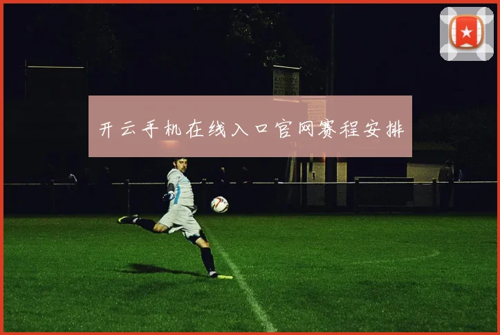 开云手机在线入口官网赛程安排