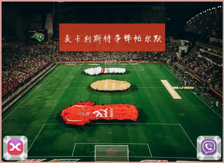 麦卡利斯特争锋帕尔默