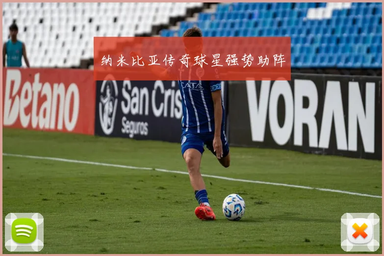 纳米比亚传奇球星强势助阵