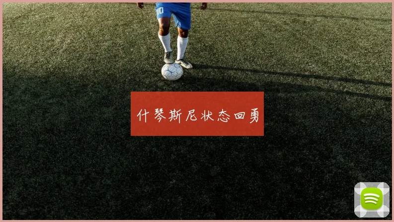 什琴斯尼状态回勇