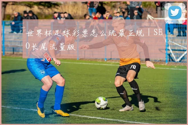 世界杯足球彩票怎么玩最正规｜SEO长尾流量版