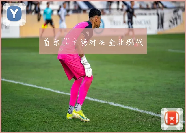 首尔FC主场对决全北现代