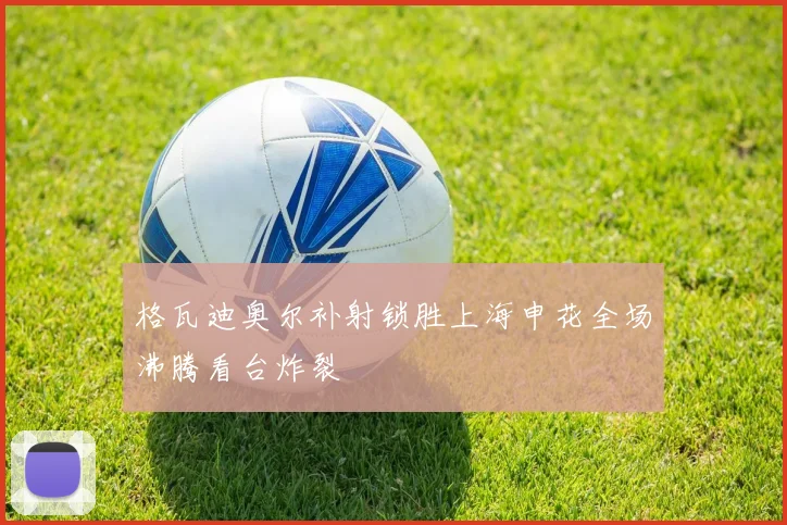 格瓦迪奥尔补射锁胜上海申花全场沸腾看台炸裂