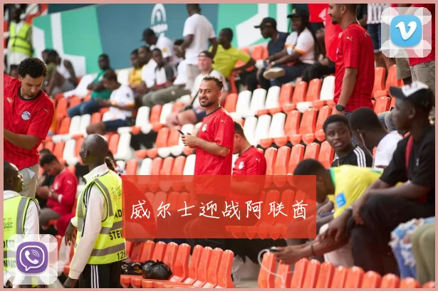威尔士迎战阿联酋
