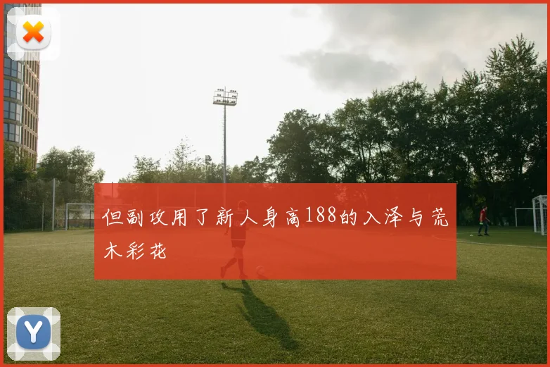 但副攻用了新人身高188的入泽与荒木彩花