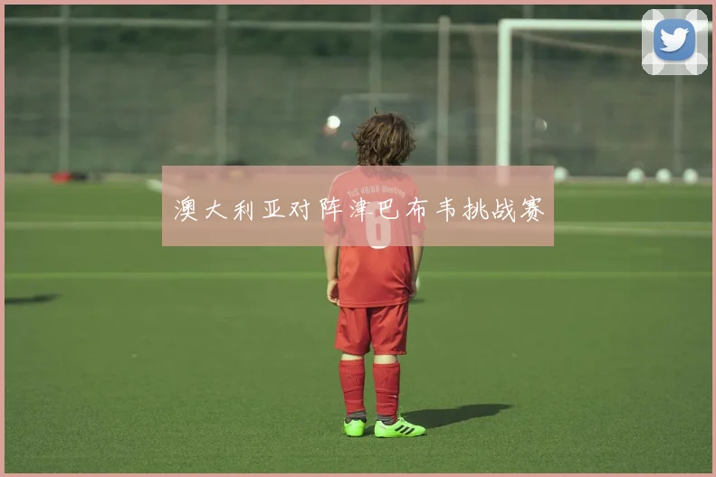 澳大利亚对阵津巴布韦挑战赛