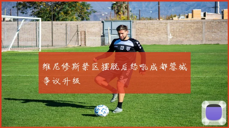 维尼修斯禁区摆脱后怒吼成都蓉城争议升级