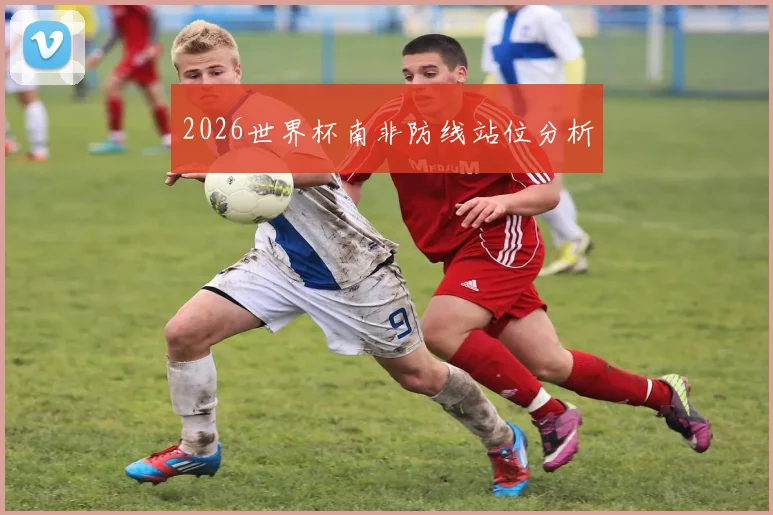 2026世界杯南非防线站位分析