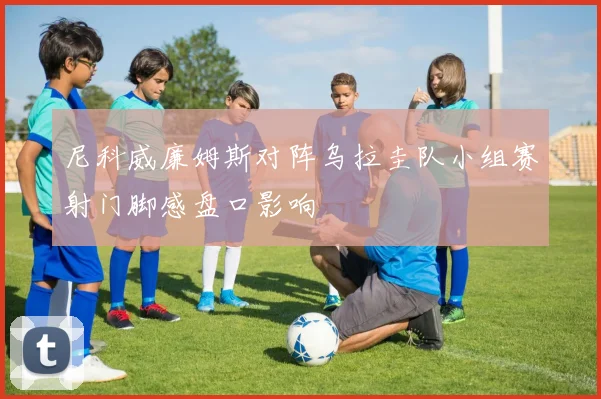 尼科威廉姆斯对阵乌拉圭队小组赛射门脚感盘口影响