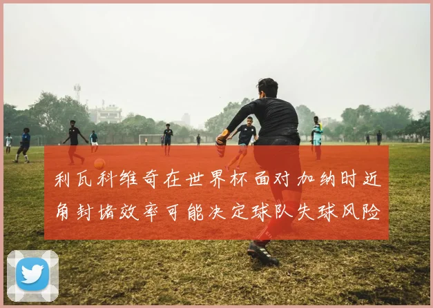 利瓦科维奇在世界杯面对加纳时近角封堵效率可能决定球队失球风险
