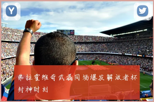 弗拉霍维奇武磊同场爆发解放者杯封神时刻