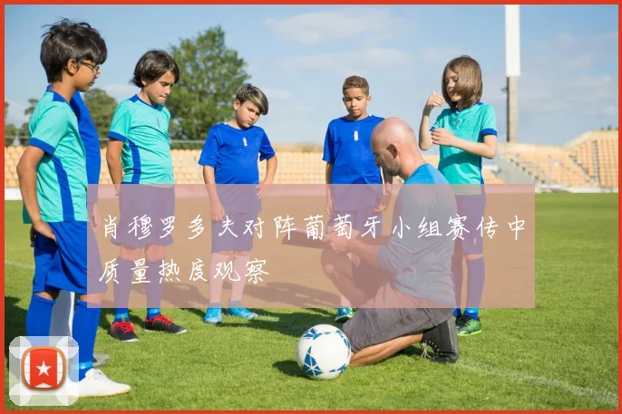 肖穆罗多夫对阵葡萄牙小组赛传中质量热度观察